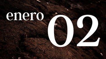 02 ENERO