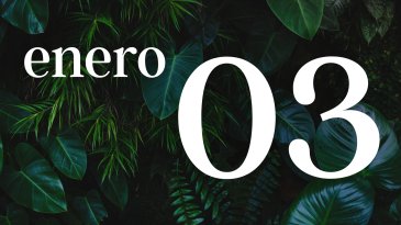 03 ENERO