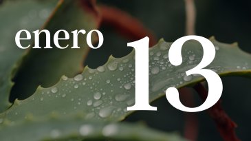 13 ENERO