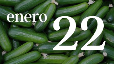 22 ENERO