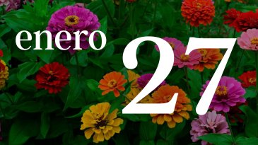 27 ENERO