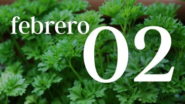 02 FEBRERO