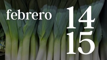 14 y 15 FEBRERO