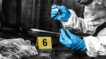 Miniwebinar: Enfermer&iacute;a forense