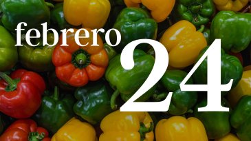 24 FEBRERO