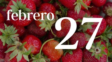 27 FEBRERO