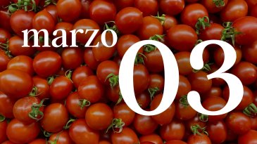 03 MARZO