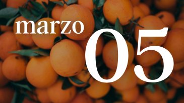 05 MARZO