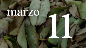 11 MARZO