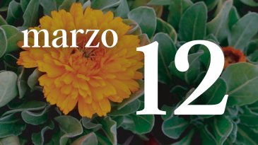 12 MARZO