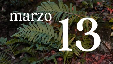 13 MARZO
