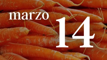 14 MARZO
