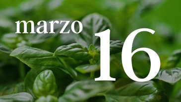 16 MARZO