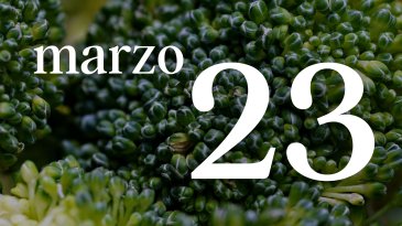 23 MARZO