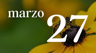 27 MARZO