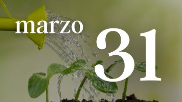 31 MARZO