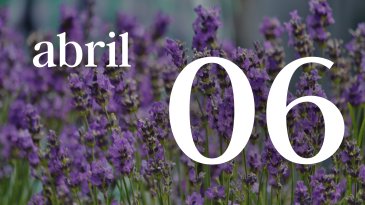 06 ABRIL