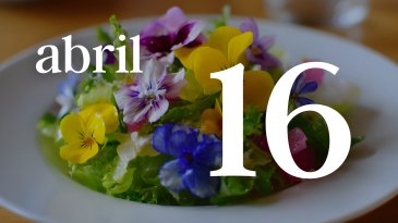 16 ABRIL