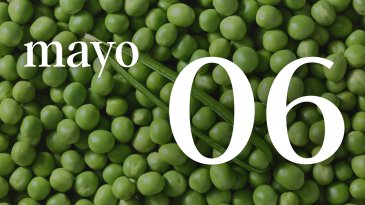 06 MAYO