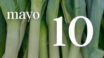 10 MAYO