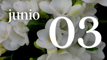 03 JUNIO