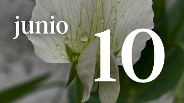 10 JUNIO