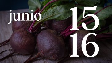 15 Y 16 JUNIO