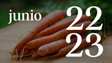 22 y 23 JUNIO