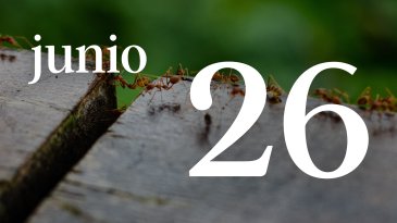 26 JUNIO