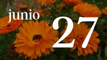 27 JUNIO