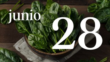 28 JUNIO