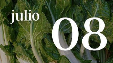 08 JULIO