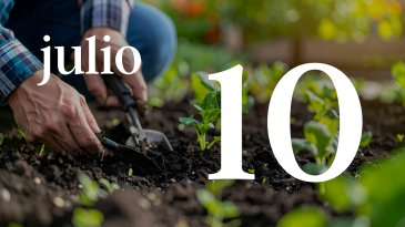 10 JULIO