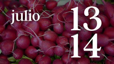 13 Y 15 JULIO