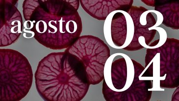 03 Y 04 AGOSTO