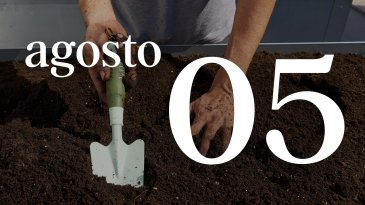 05 AGOSTO