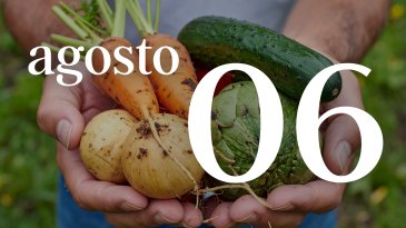 06 AGOSTO