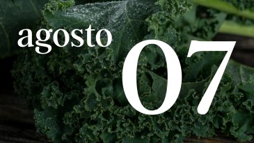 07 AGOSTO