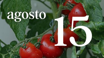 15 AGOSTO