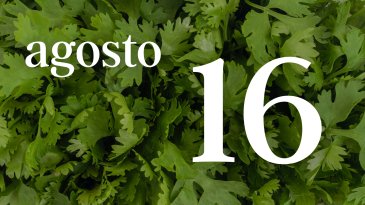 16 AGOSTO