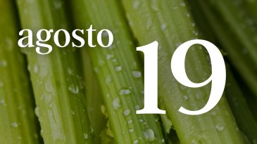 19 AGOSTO