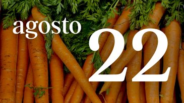 22 AGOSTO
