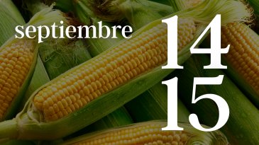 14 y 15 SEPTIEMBRE