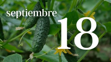 18 SEPTIEMBRE