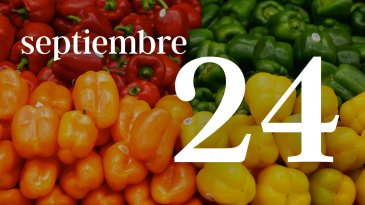 24 SEPTIEMBRE