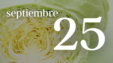25 SEPTIEMBRE