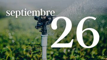 26 SEPTIEMBRE