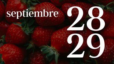 28 Y 29 SEPTIEMBRE