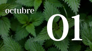 01 OCTUBRE