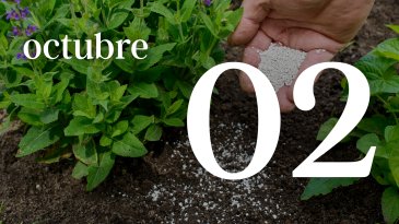 02 OCTUBRE